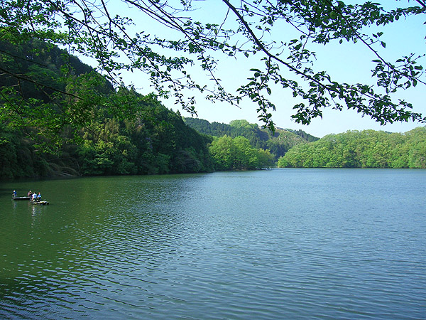 新緑の青蓮寺湖